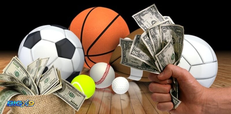 BigX9 Sports - Track Every Bet